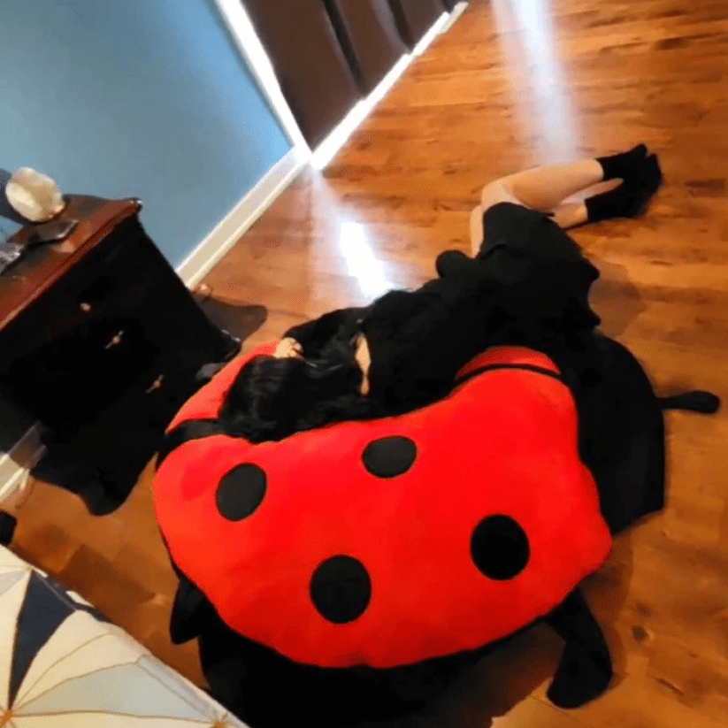 Mega Cuscino Coccinella🐞 - PijamaMania